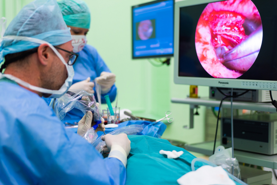 Ve fakultce bude mezinárodní kurz miniinvazivní ušní chirurgie