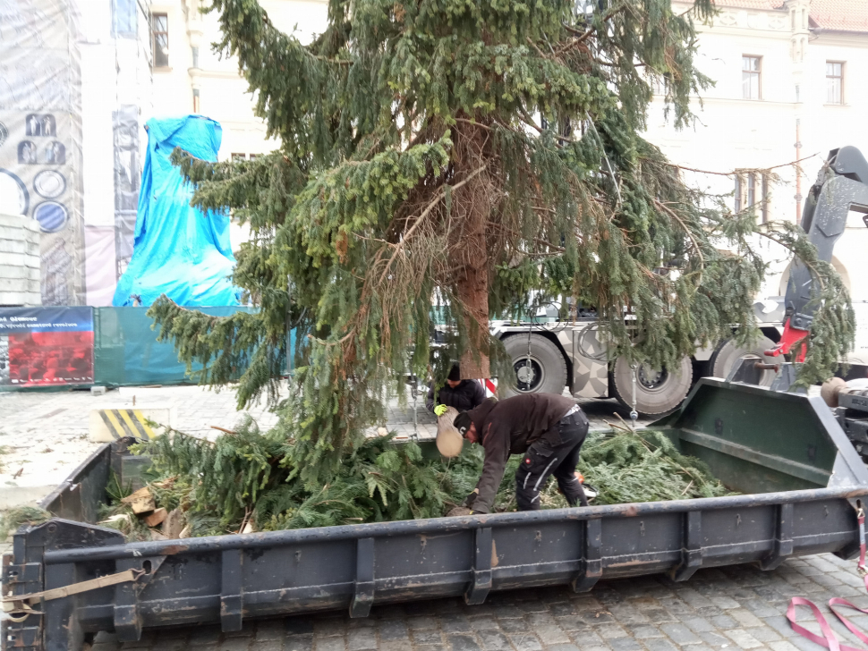 Vánoční strom Křovínek zmizel z Horního náměstí