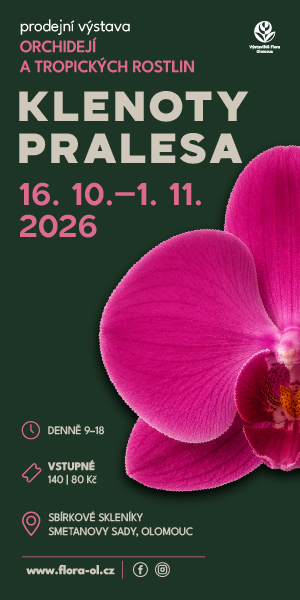 Klenoty pralesa