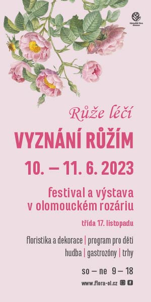 Vyznání růžím